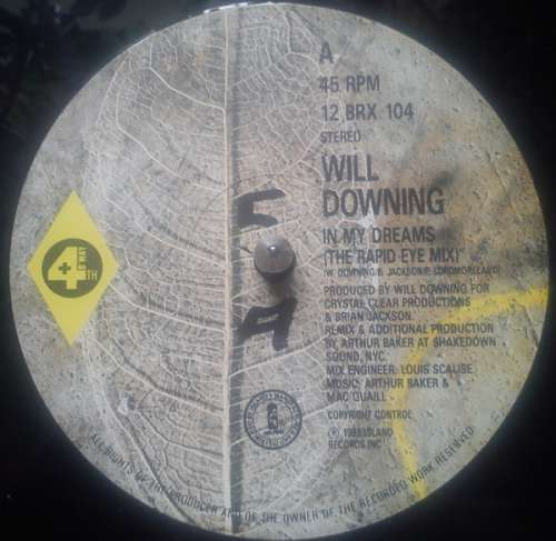 Cover Will Downing - In My Dreams (12) Schallplatten Ankauf
