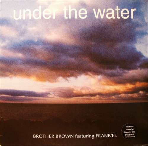Cover Brother Brown Featuring Frank'ee - Under The Water (12) Schallplatten Ankauf
