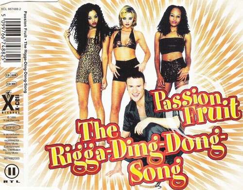 Cover The Rigga-Ding-Dong-Song Schallplatten Ankauf