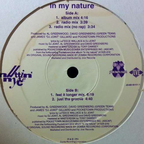 Bild Nuttin' Nyce - In My Nature (12) Schallplatten Ankauf