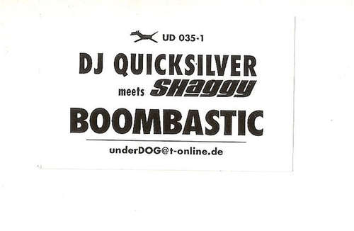 Cover DJ Quicksilver Meets Shaggy - Boombastic (12, W/Lbl) Schallplatten Ankauf