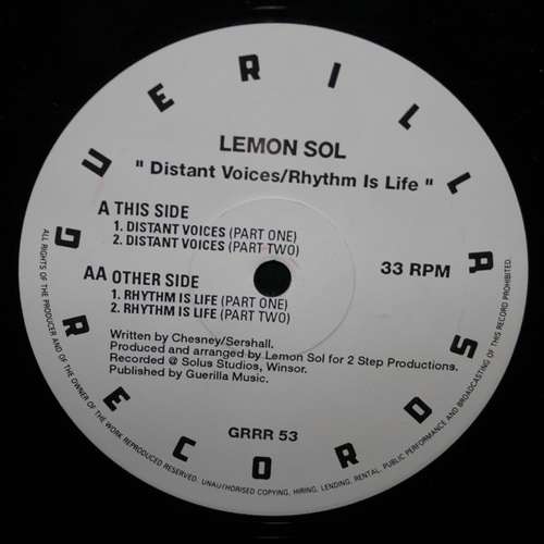 Cover Distant Voices / Rhythm Is Life Schallplatten Ankauf