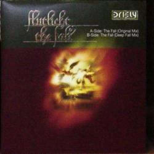 Cover Flutlicht - The Fall (12) Schallplatten Ankauf