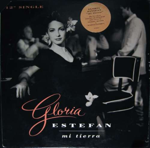 Cover Gloria Estefan - Mi Tierra (12) Schallplatten Ankauf