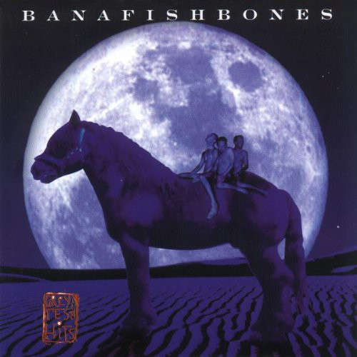 Cover Bananafishbones - Grey Test Hits (CD, Album) Schallplatten Ankauf
